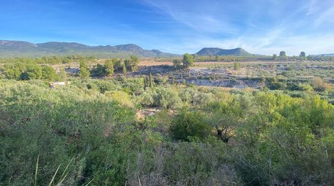 Un Paraíso Agrícola con Vistas de Ensueño Tu Oportunidad entre Olivos Centenarios, immagine 4