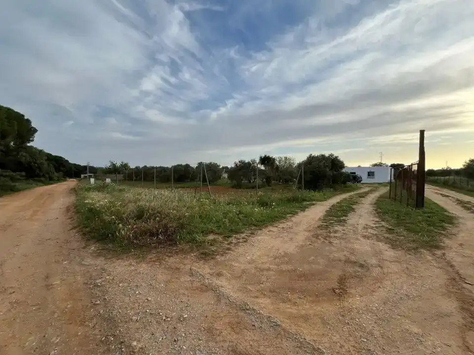 Finca rústica en venda en Puerto Real