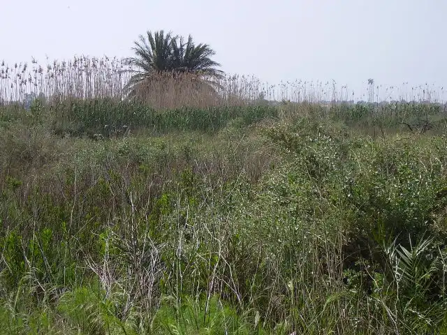 Residential land for sale in Calle Rafael Balaguer 75, imagen 3