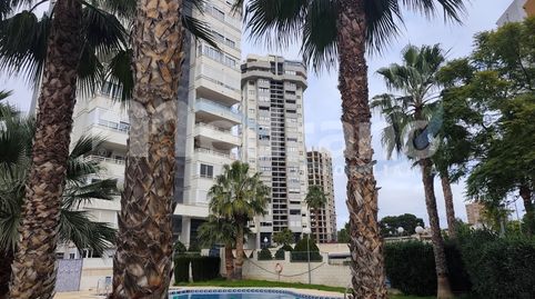 Photo 3 of Flat for sale in Carrer de Dénia, Playa Poniente, Benidorm
