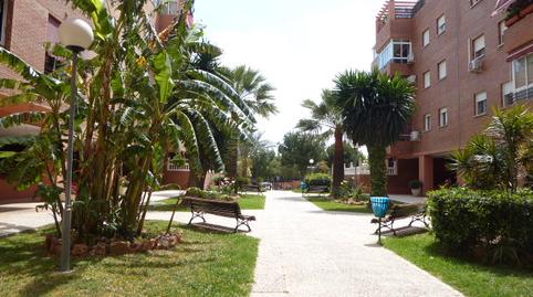 Foto 5 de Piso de alquiler en Calle Esquilo, 5, El Cónsul - Ciudad Universitaria - El Romeral, Málaga Capital