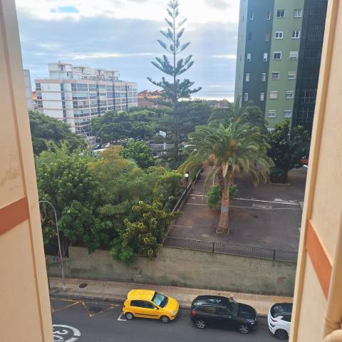 Piso en Alquiler en Avenida de Benito Pérez Armas en Los Gladiolos