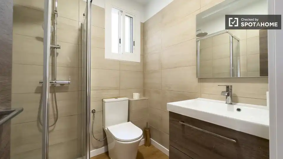 Room in Centre