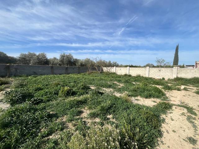 Finca rústica en Venta en Urbanización 19 Huertos Regao Peñaf, 42 en Peñaflor