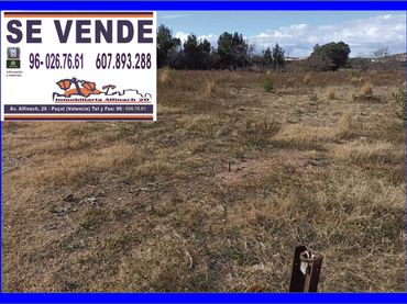 Terreno rustico in vendita a Puçol Ciudad