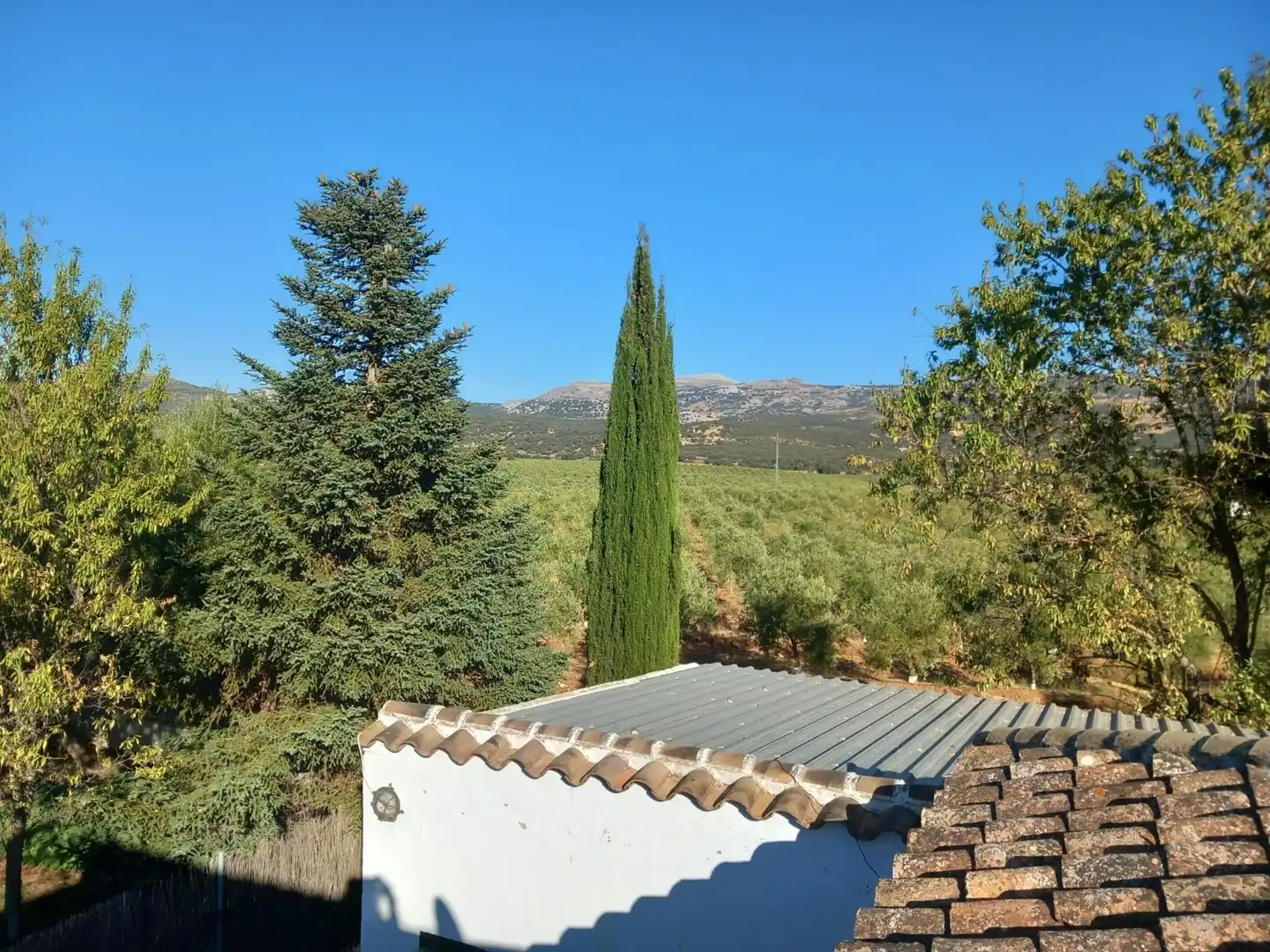 Casa amb piscina en venda a Partidas Norte, imagen 47