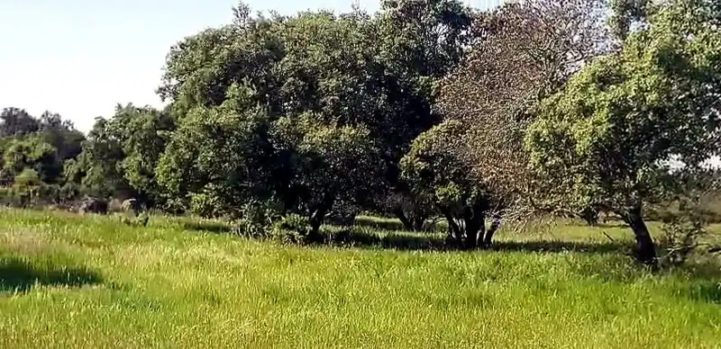 Terreni e lotti in vendita a Aldea del Cano, imagen 2