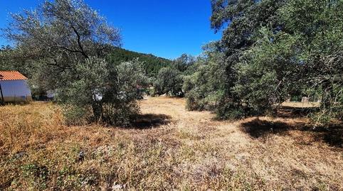 Photo 5 of Residential for sale in Lugar la Corte, 170, Santa Ana la Real, Huelva