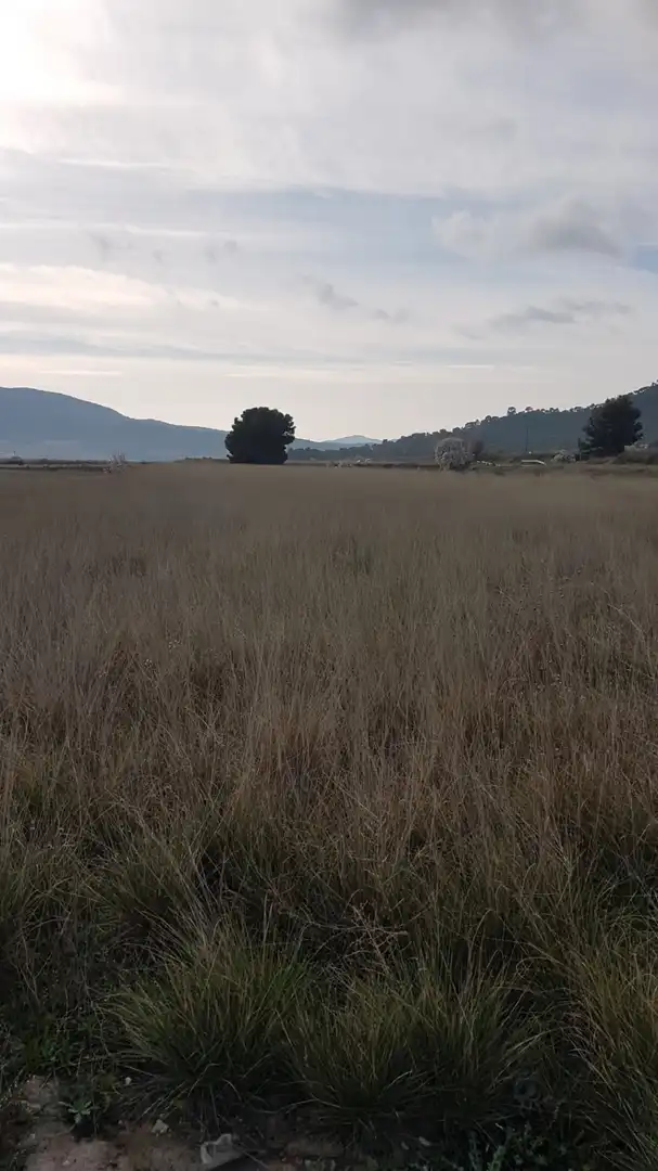 Finca rústica en venda en Salinas