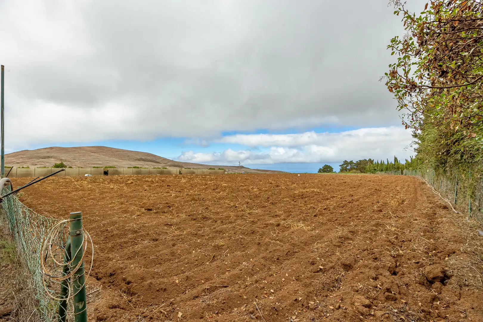 Residencial en venta en Lugar Lomo del Poleo, Saucillo - Fagajesto - Juncalillo
