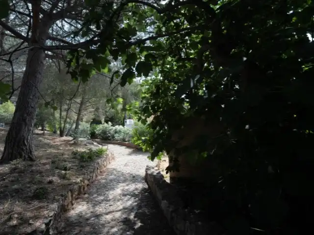 Jardí de Casa o xalet en venda en Paterna amb Jardí privat i Terrassa