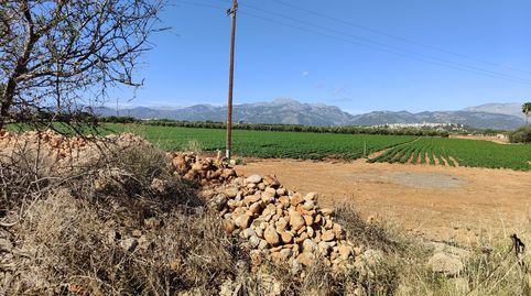 Photo 4 of Land for sale in Carrer Major, 18, Búger, Illes Balears