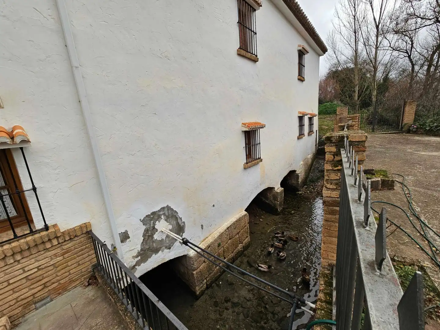 Vista exterior de Finca rústica en venda en Antequera amb Jardí privat