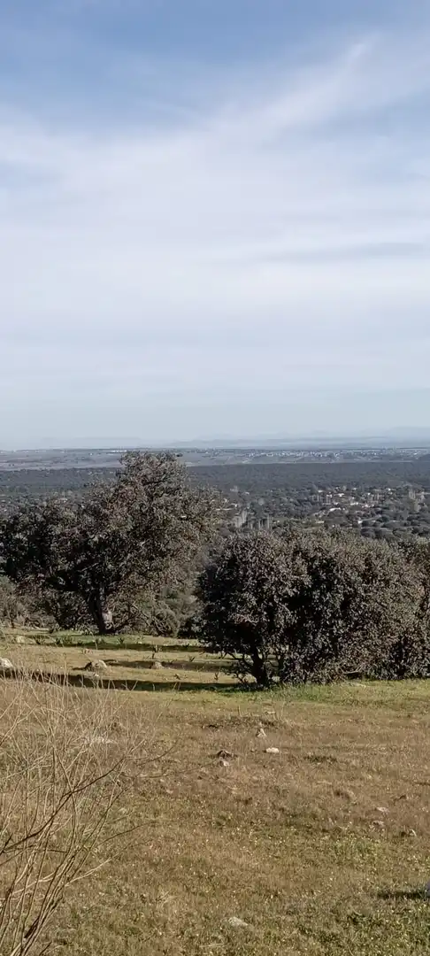 Terreni e lotti in vendita a San Román de los Montes, imagen 15