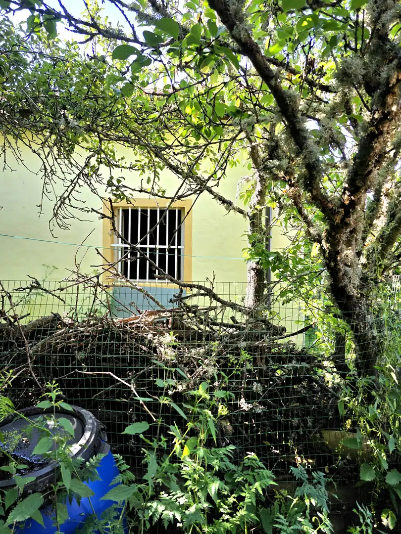 Vista exterior de Casa o xalet en venda en Cervera de Pisuerga amb Calefacció i Jardí privat