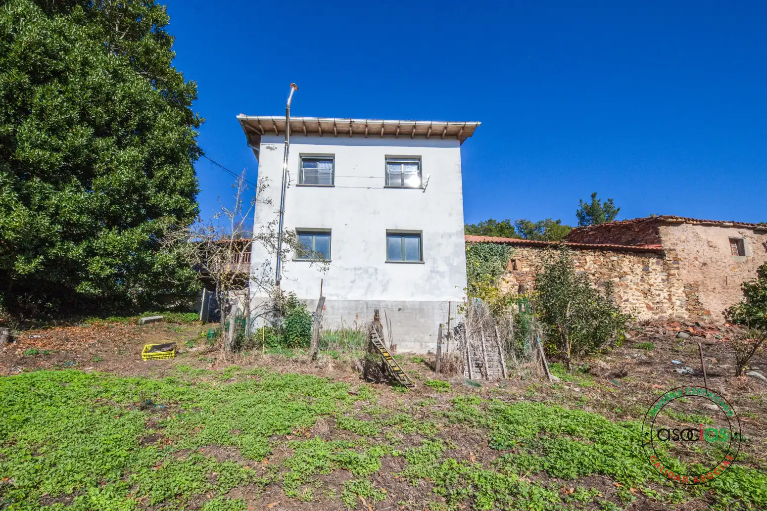 Vista exterior de Casa o chalet en venta en Tineo con Calefacción, Jardín privado y Terraza