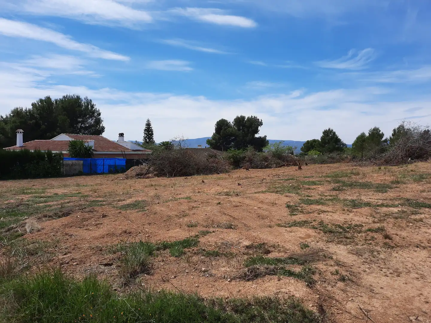 Terreny rústic en venda a Montserrat, imagen 4