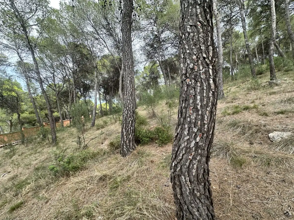 Wohnbaugrundstück zum Verkauf in Torres Torres, imagen 37