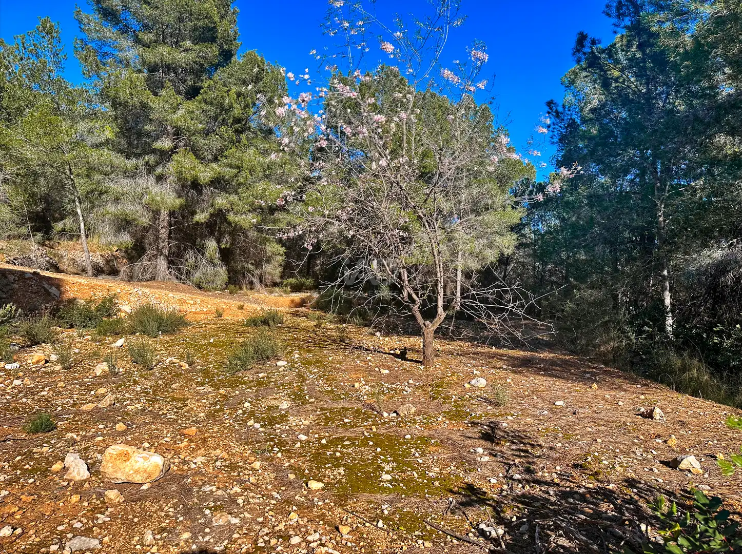 Terreno en venta en Polop