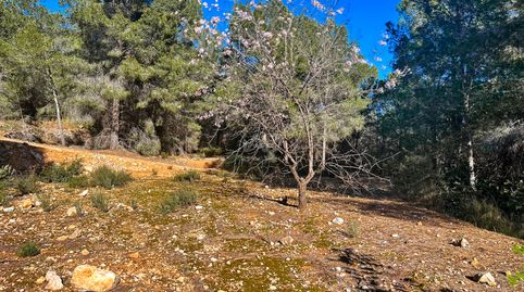 Foto 4 de Terreno en venta en Xirles, Polop