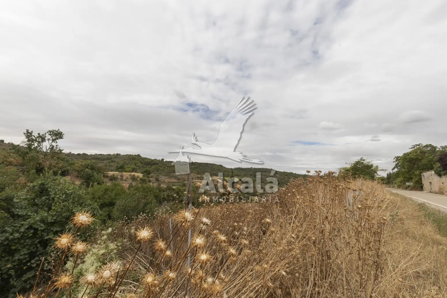 Terreny rústic en venda a Hueva, imagen 13