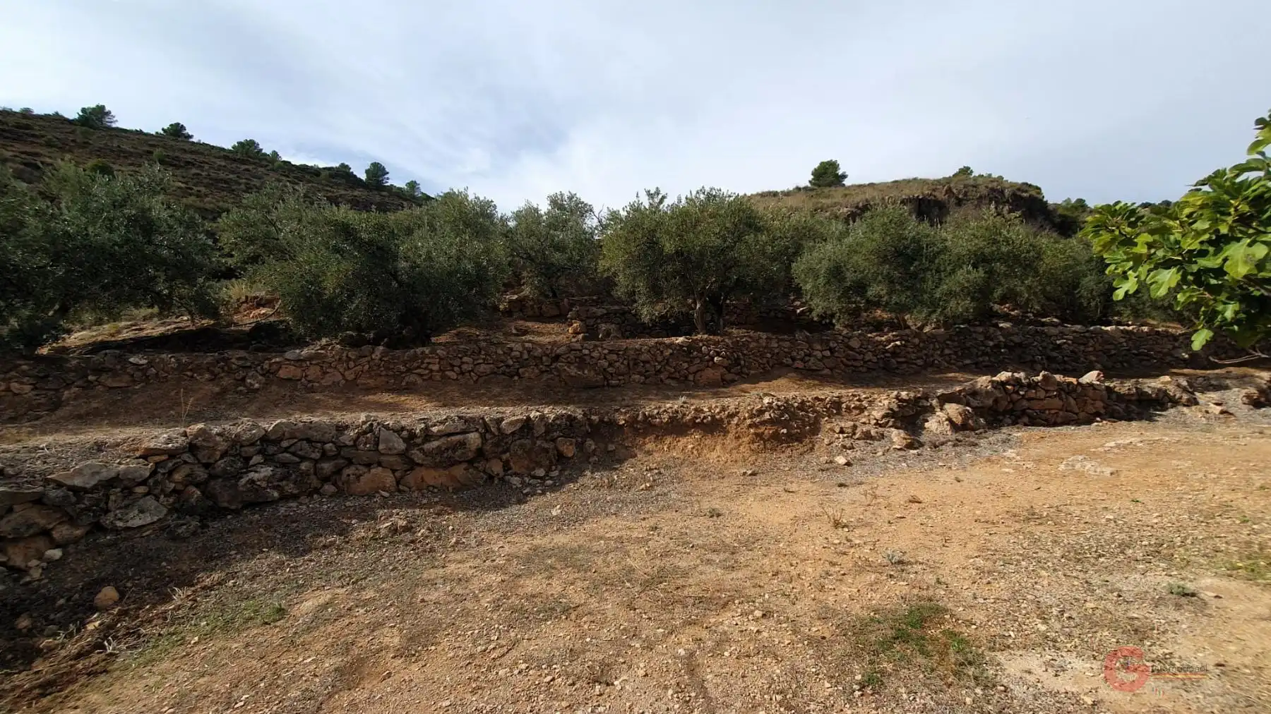 Terreni e lotti in vendita a El Pinar, imagen 5