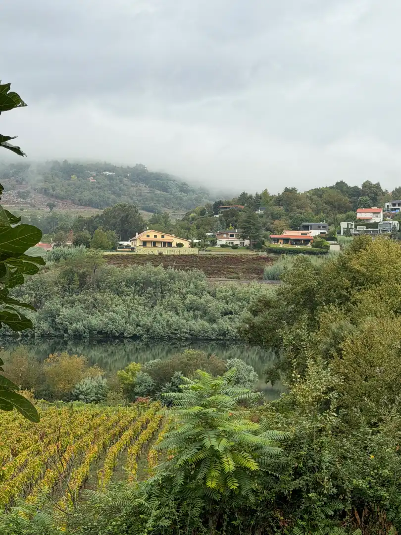 House with terrace for sale in Toén, imagen 14