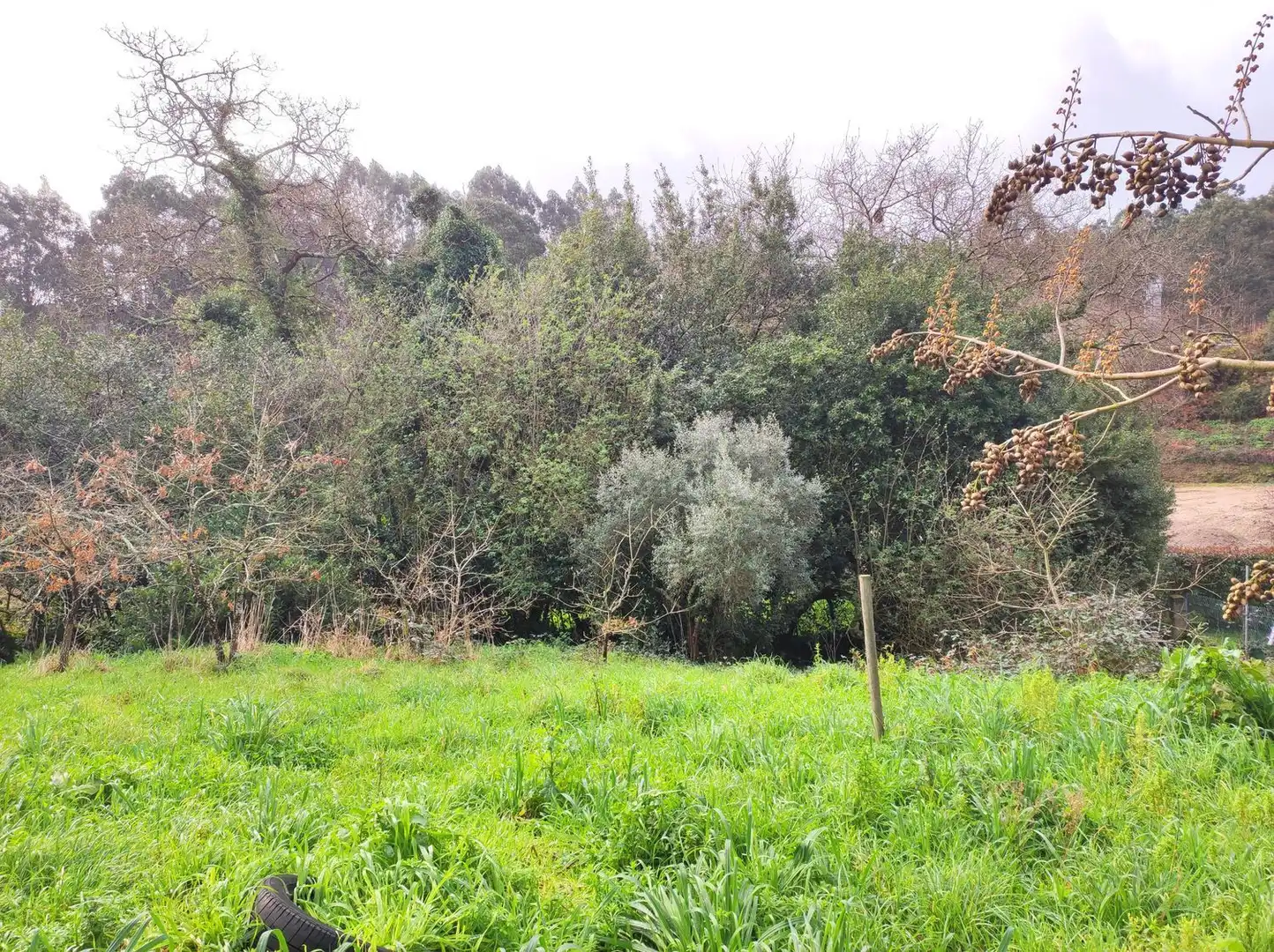 Casa o chalet en venta en Uxes, Morás - A Zapateira