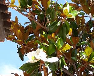 Jardí de Casa o xalet en venda en Cuarte de Huerva amb Terrassa, Traster i Piscina