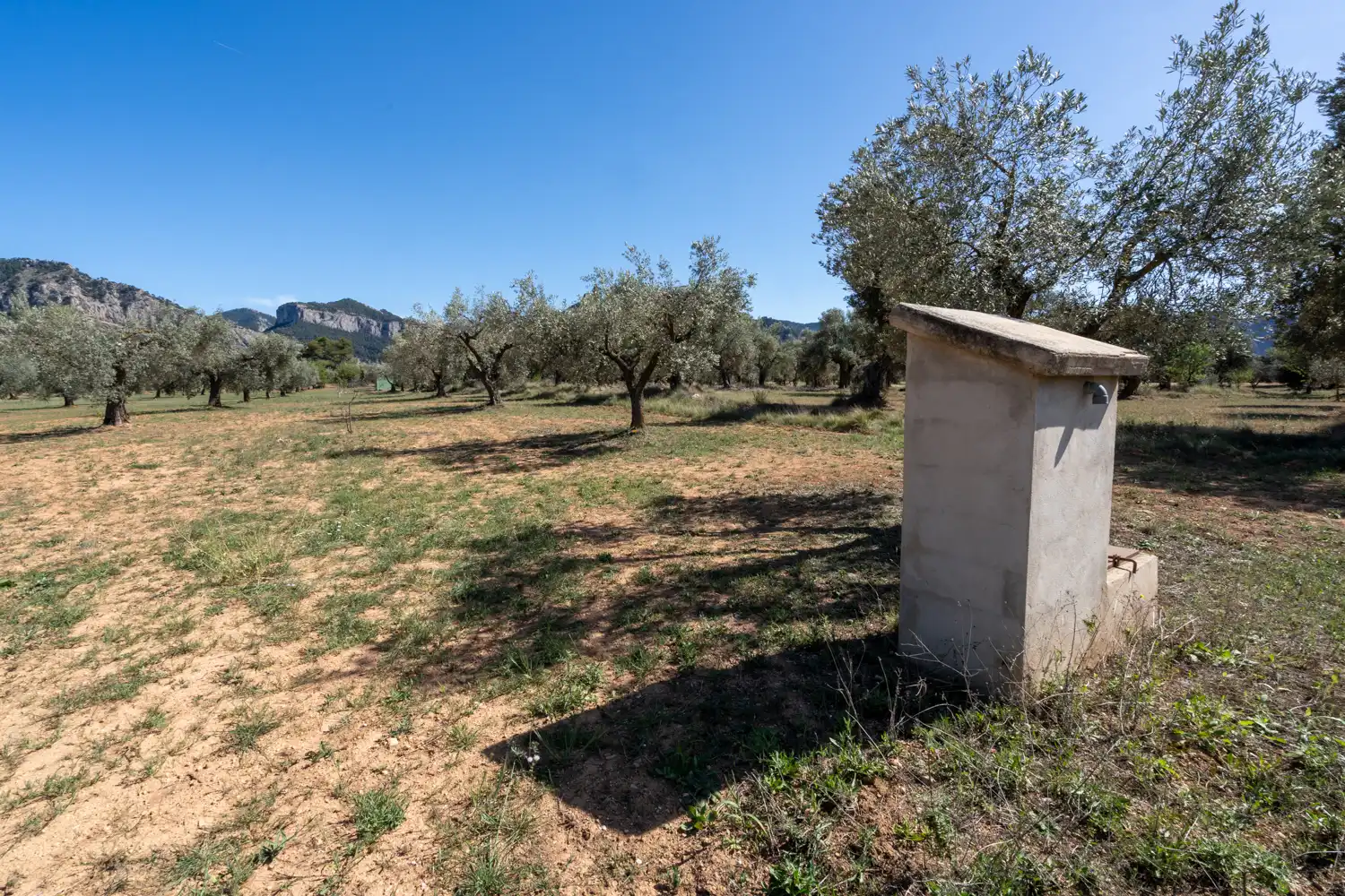 Rural land for sale in Raval dels Àngels 18, imagen 22