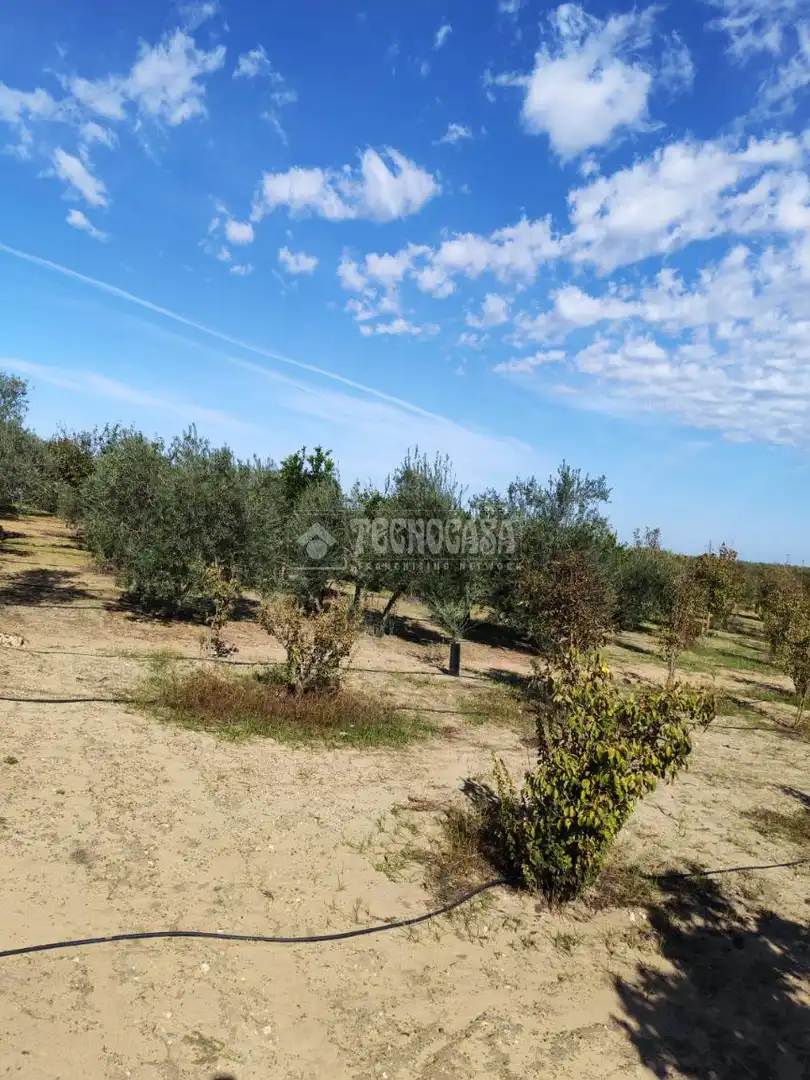 Finca rústica en venta en Marchena con Aire acondicionado