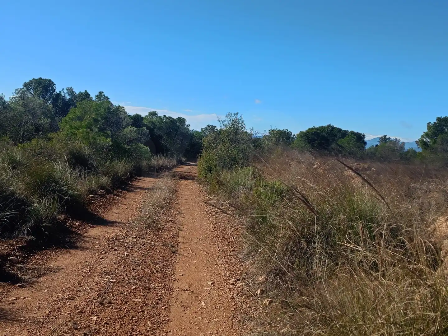Grundstücke zum Verkauf in Lorca