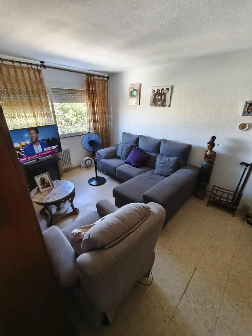 Sala de estar de Piso en venta en Lleida