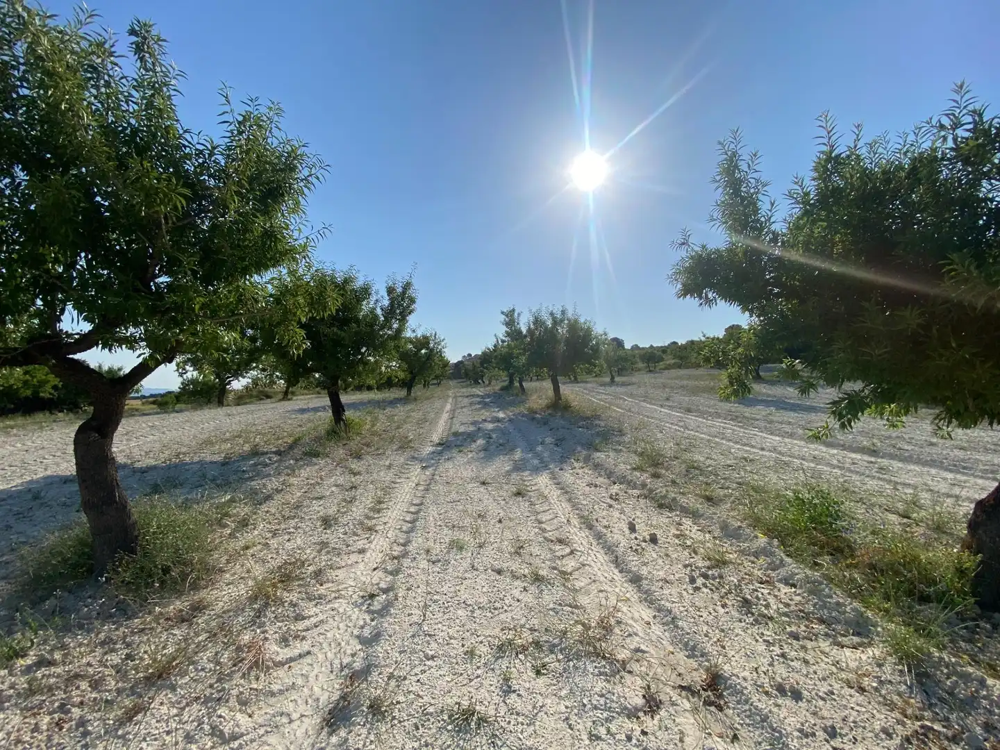 Villa à vendre à Moratalla, imagen 79
