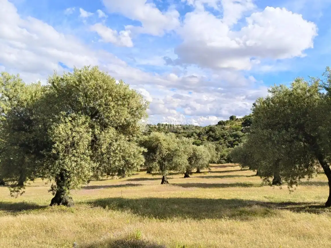 Finca rústica en venda en San Martín de Pusa amb Moblat i Balcó