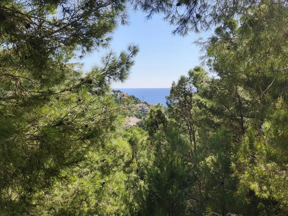 Residential land for sale in Calle Suiza, imagen 15