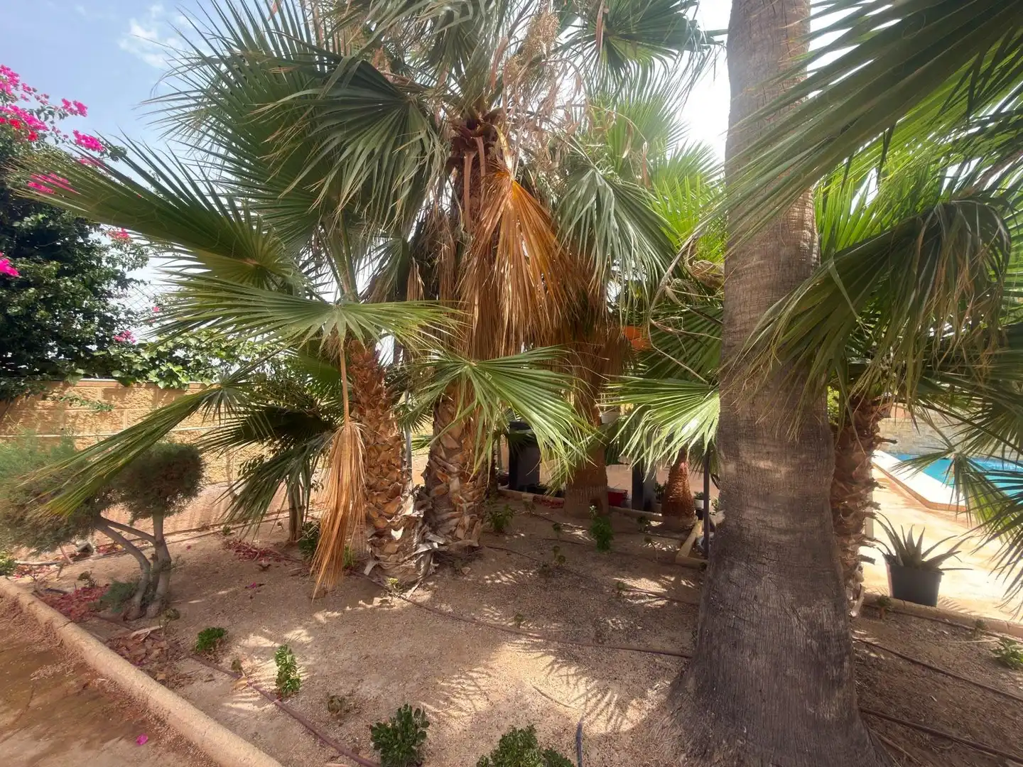 Casa o xalet en venda en Alicante / Alacant amb Aire condicionat, Calefacció i Jardí privat