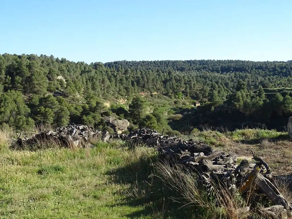 Terreno en venta en Valjunquera
