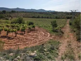 Terrain rustique à vendre à Requena, imagen 12