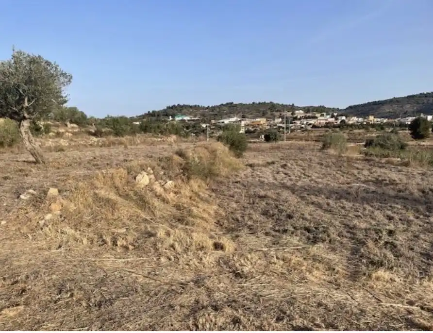Terreny residencial en venda a Av. la Constitución, imagen 7
