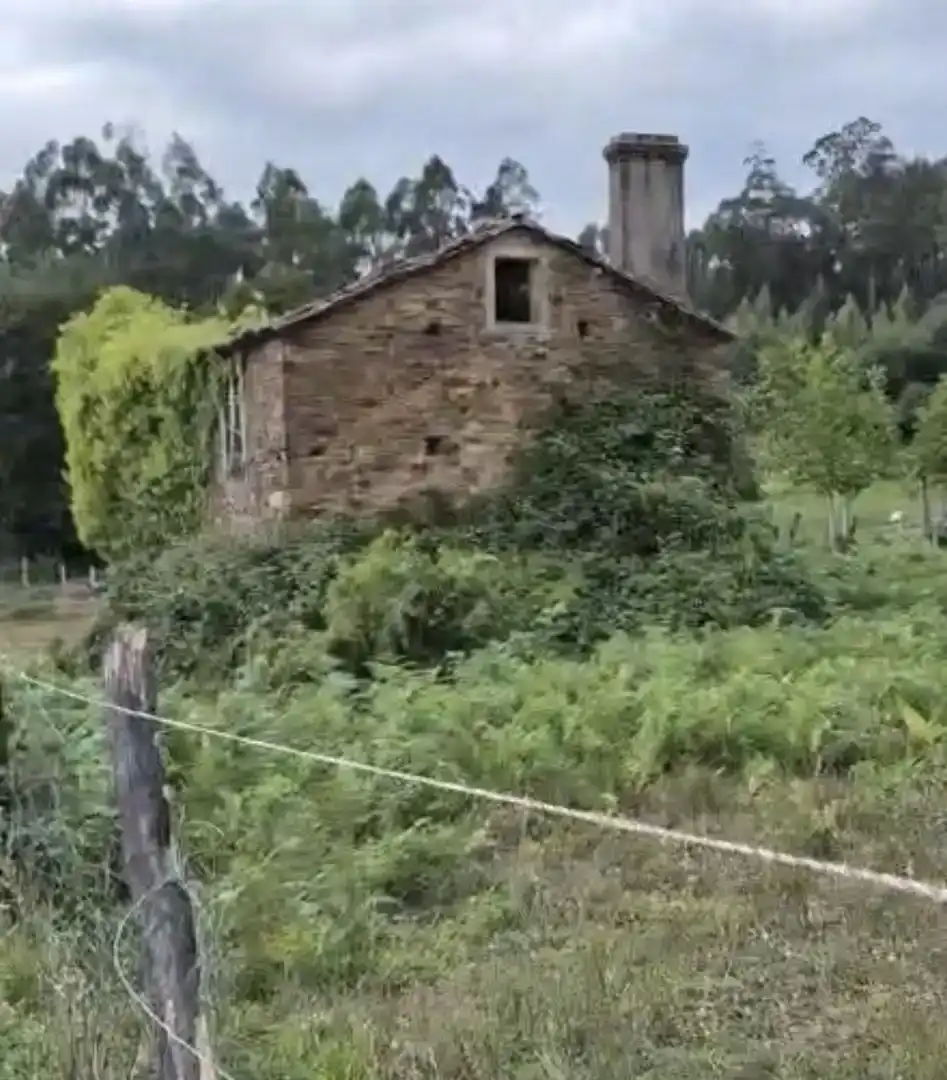 Vista exterior de Finca rústica en venda en Touro