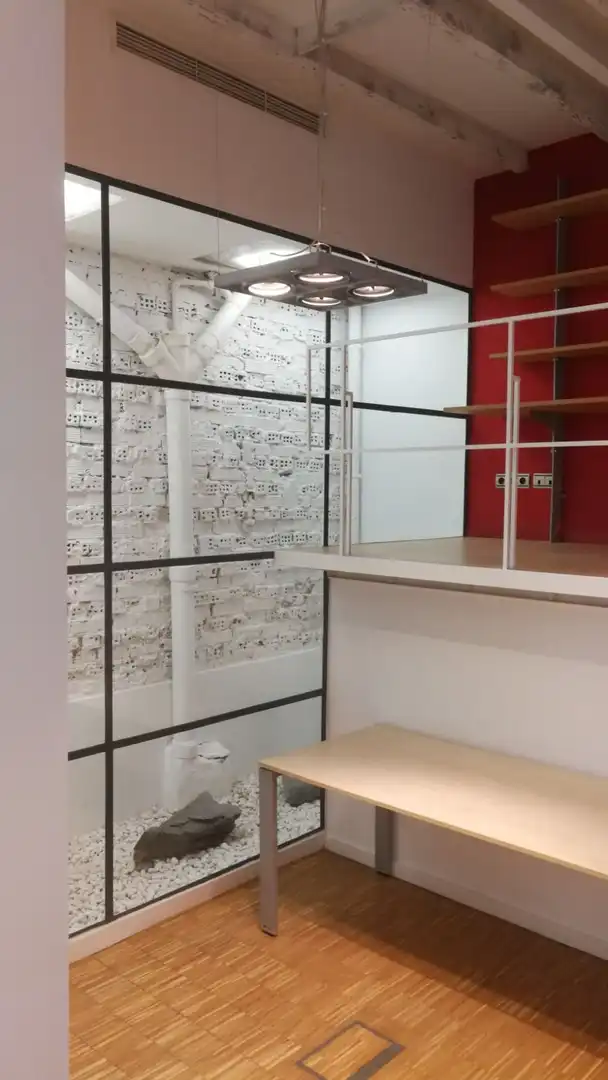 Local comercial en alquiler en CALZADA DE EGIA 9, imagen 10