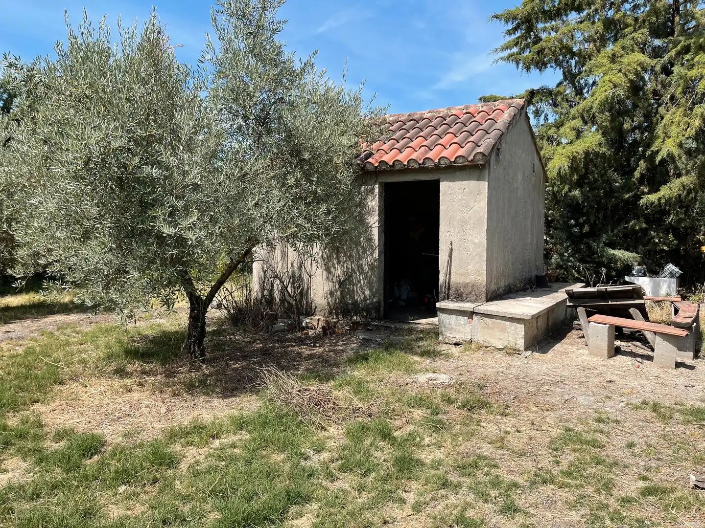 Terrenos y solares en venta en Úbeda, imagen 3