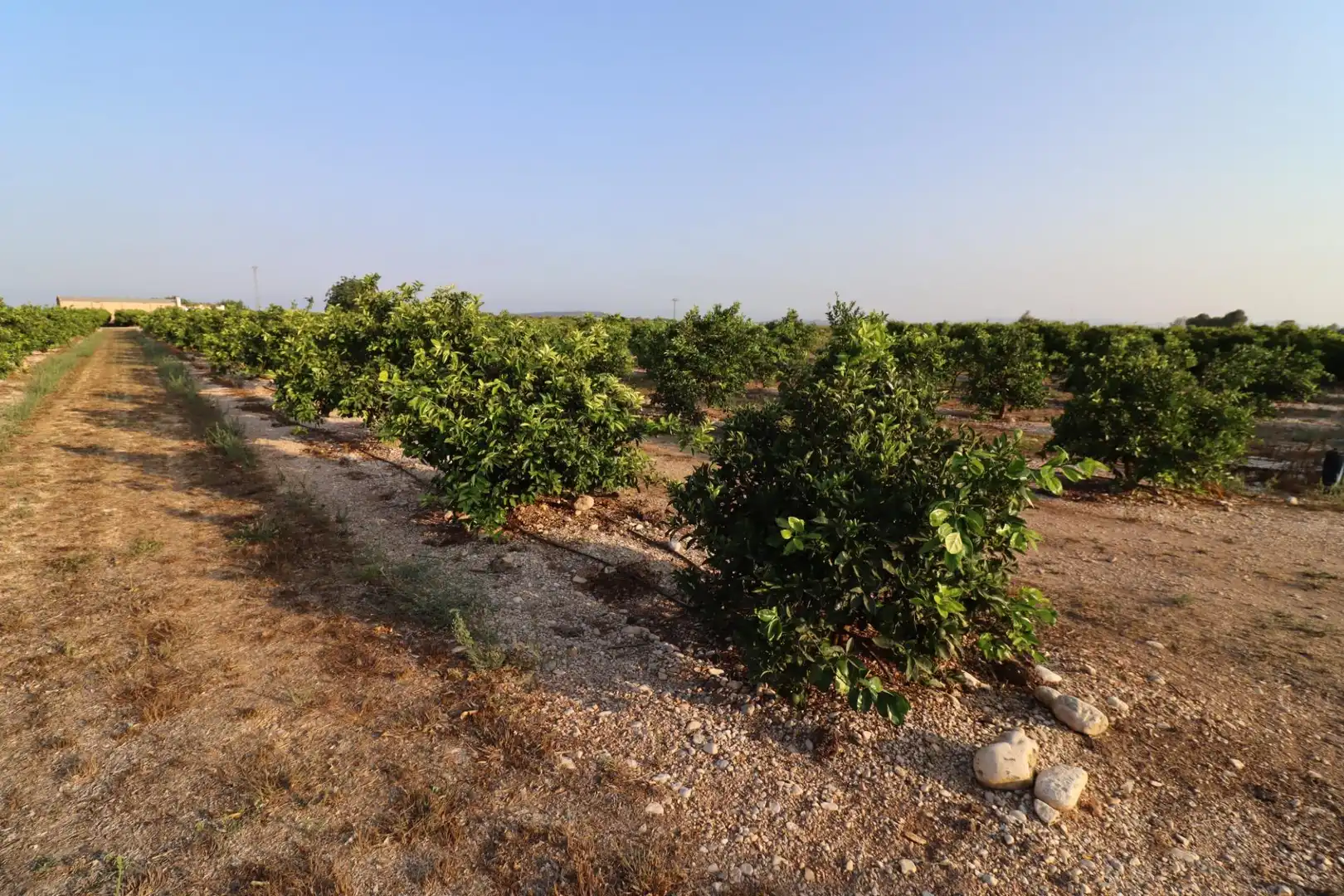 Terreny en venda en Vinaròs
