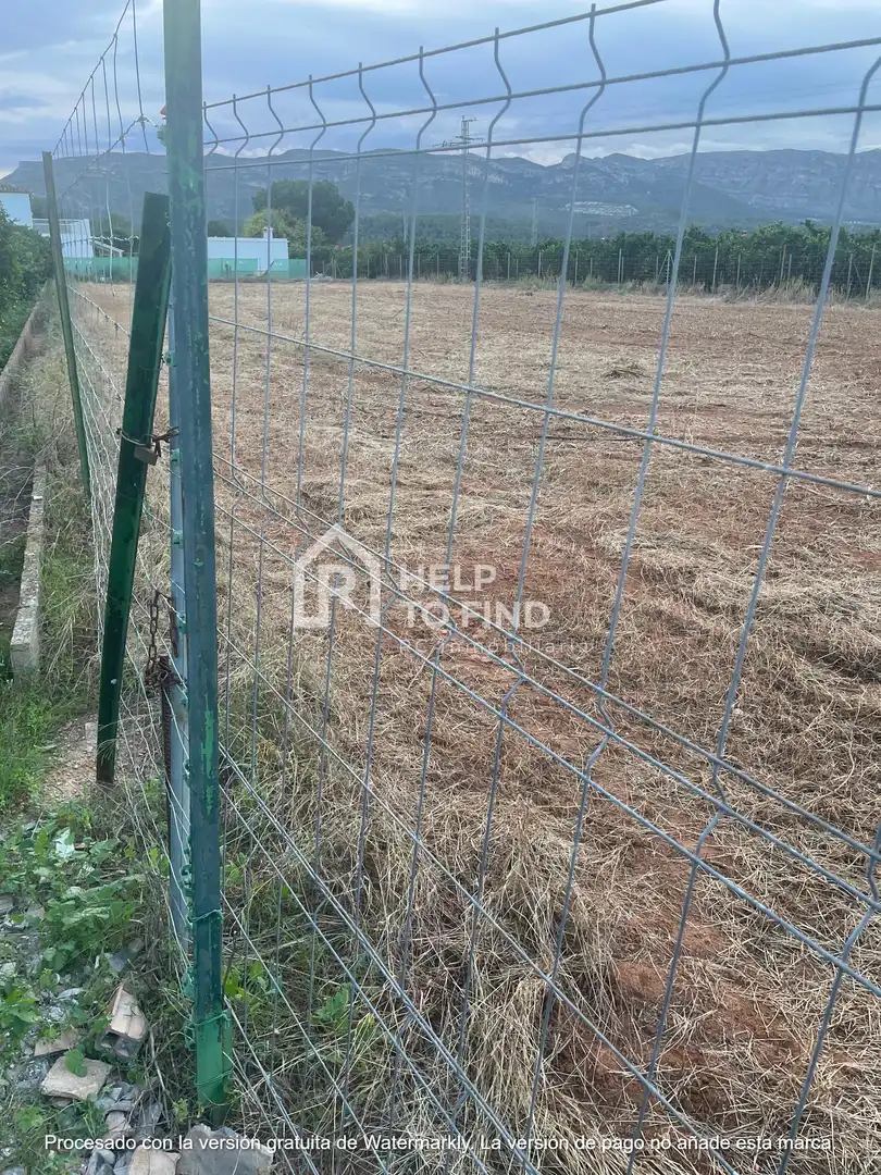Terreno rústico en venta en Palma de Gandia, imagen 2