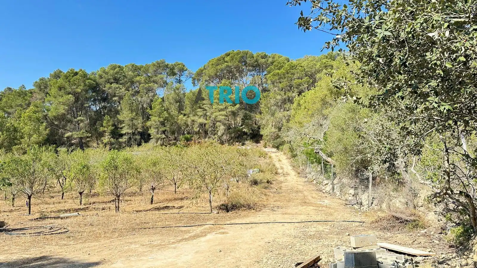 Terreno rustico in vendita a Algaida, imagen 10