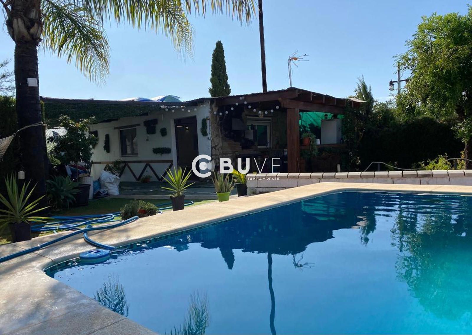 Swimming pool of House or chalet for rent in Coria del Río  with Terrace