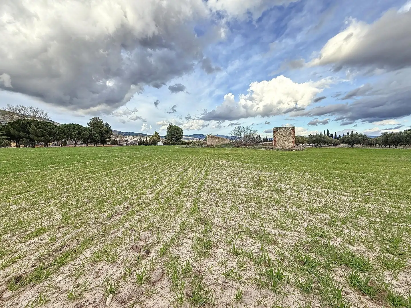 Rural land for sale in Partida Polígono 12 Parcela 103 CAÑARETS. ONIL (ALICANTE, imagen 8