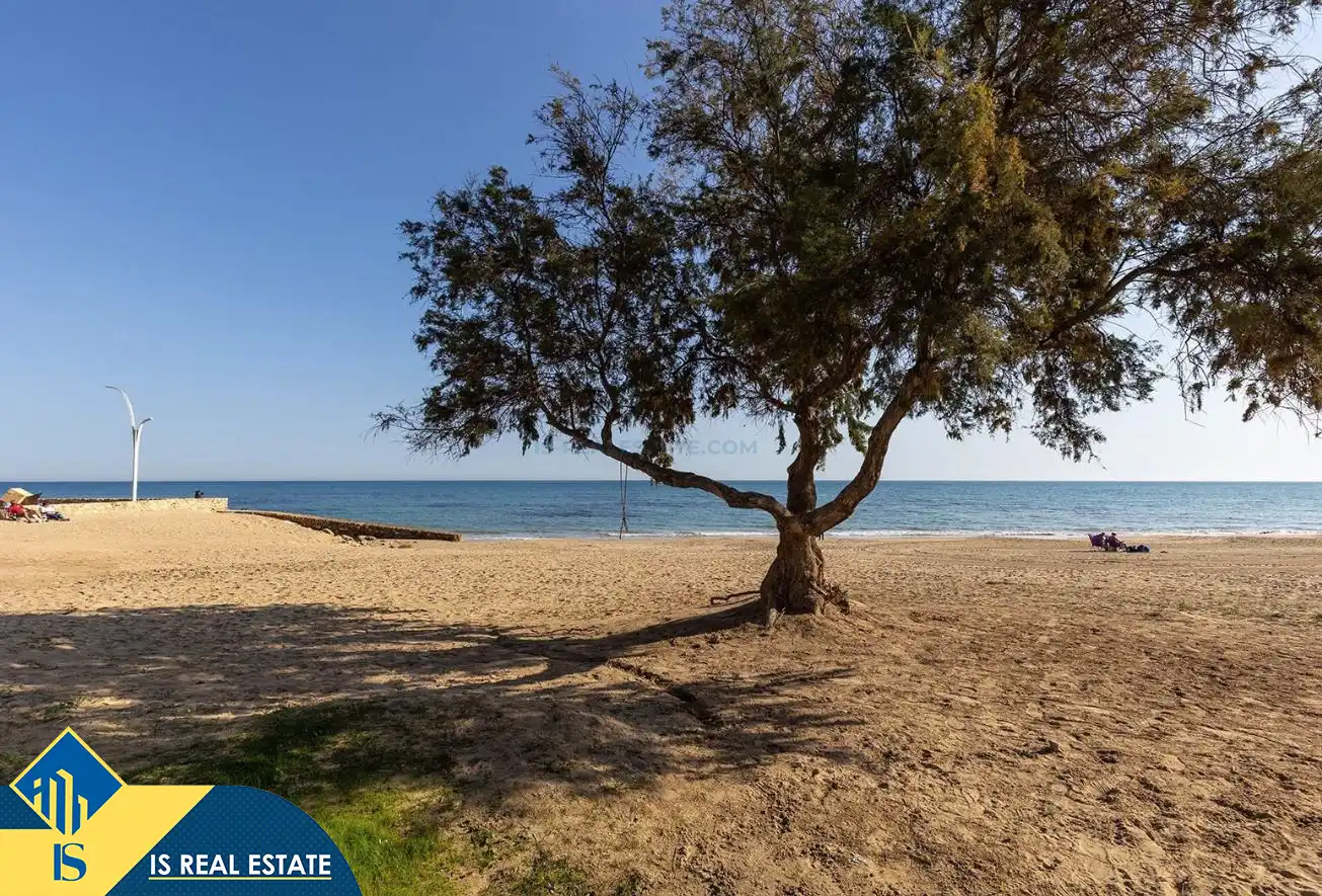 Estudio con piscina en venta en La Mata, imagen 19