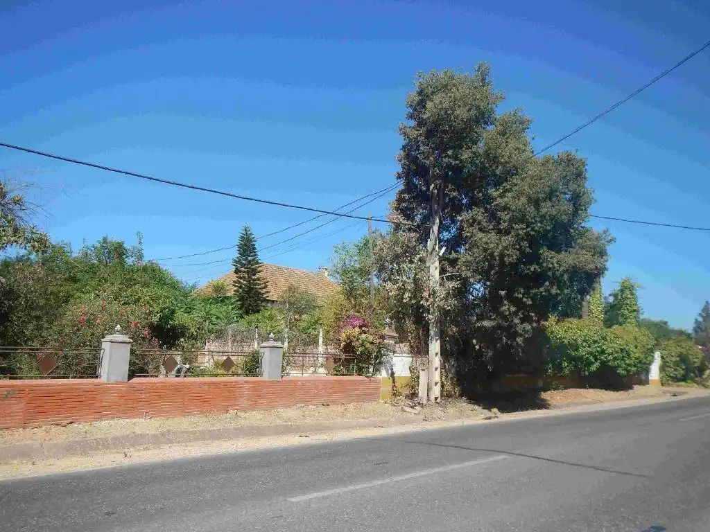 Vista exterior de Casa o xalet en venda en Dos Hermanas amb Jardí privat